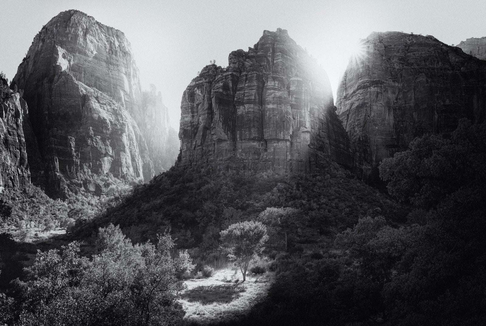 Last Light of Zion