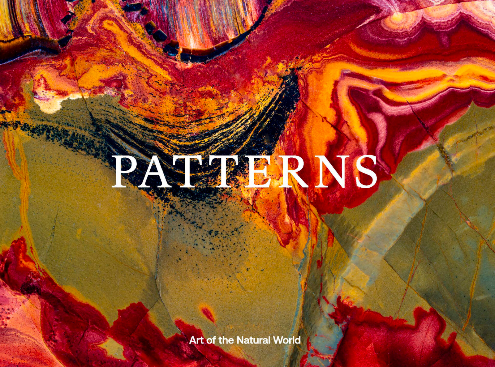 Patterns: Art of the Natural World