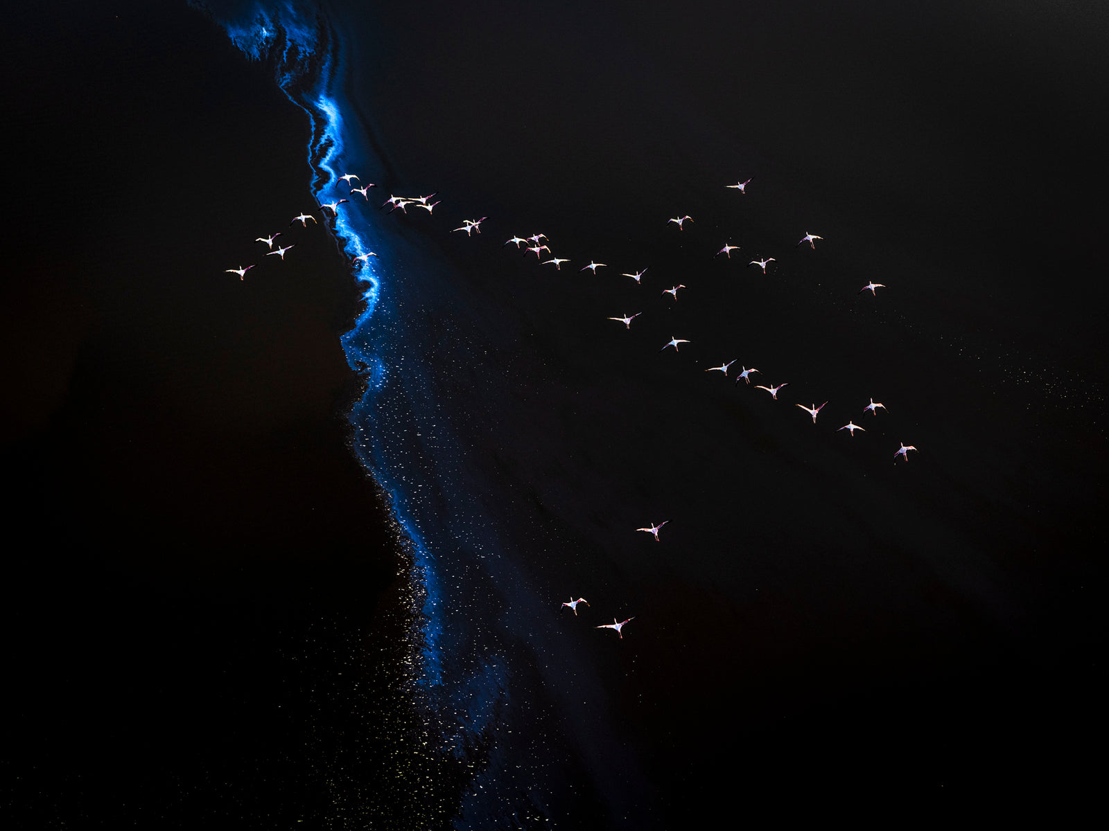 Flight, Kenya
