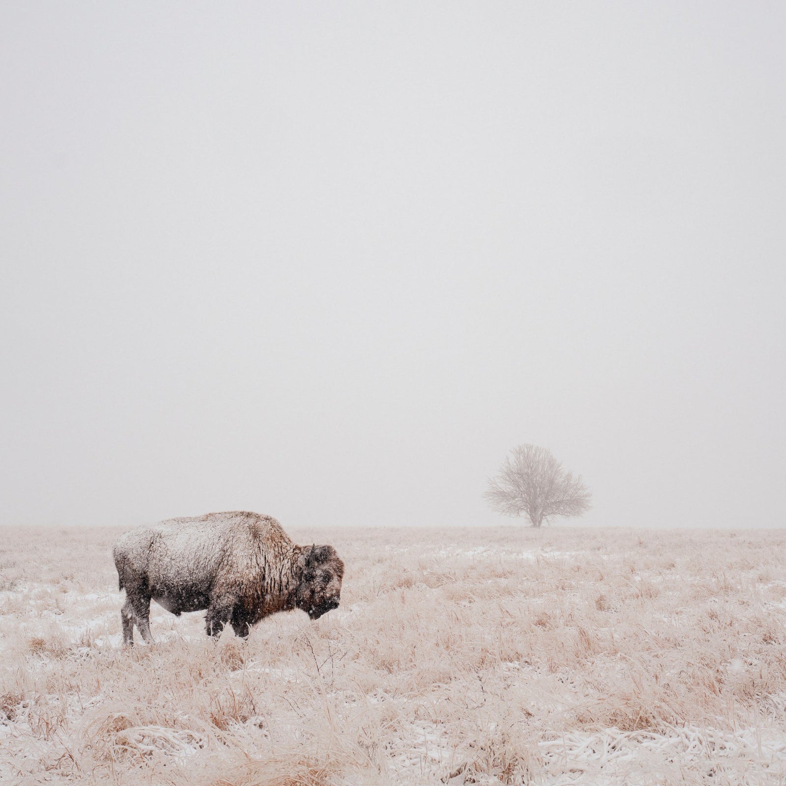 Flint Hills, KS, USA