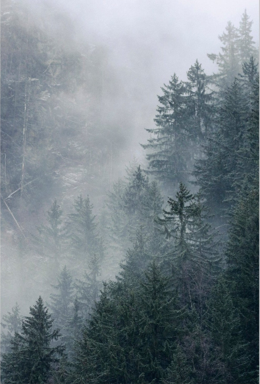 Where Light Lingers 02