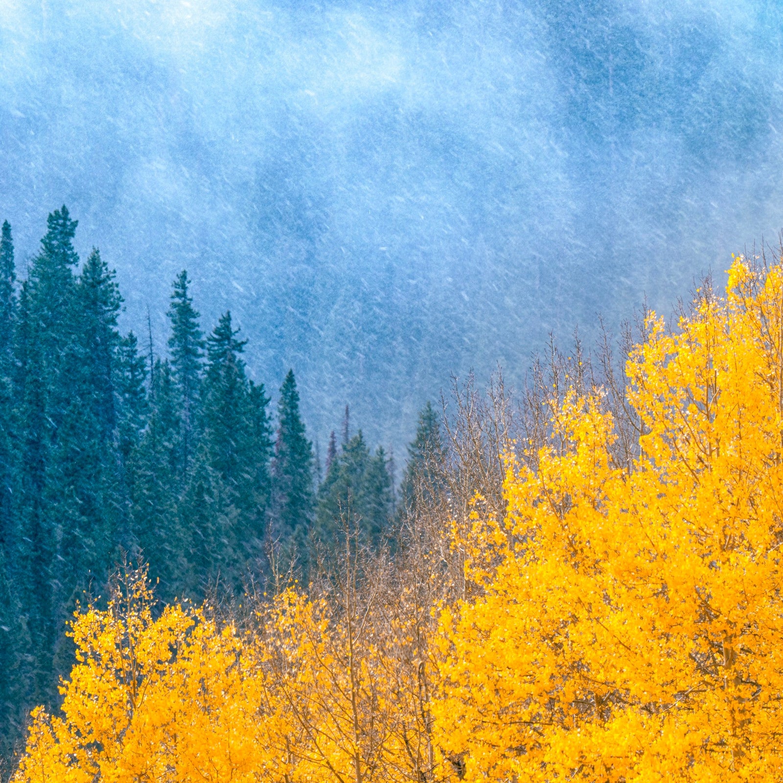 Winter is Coming, No. 047
