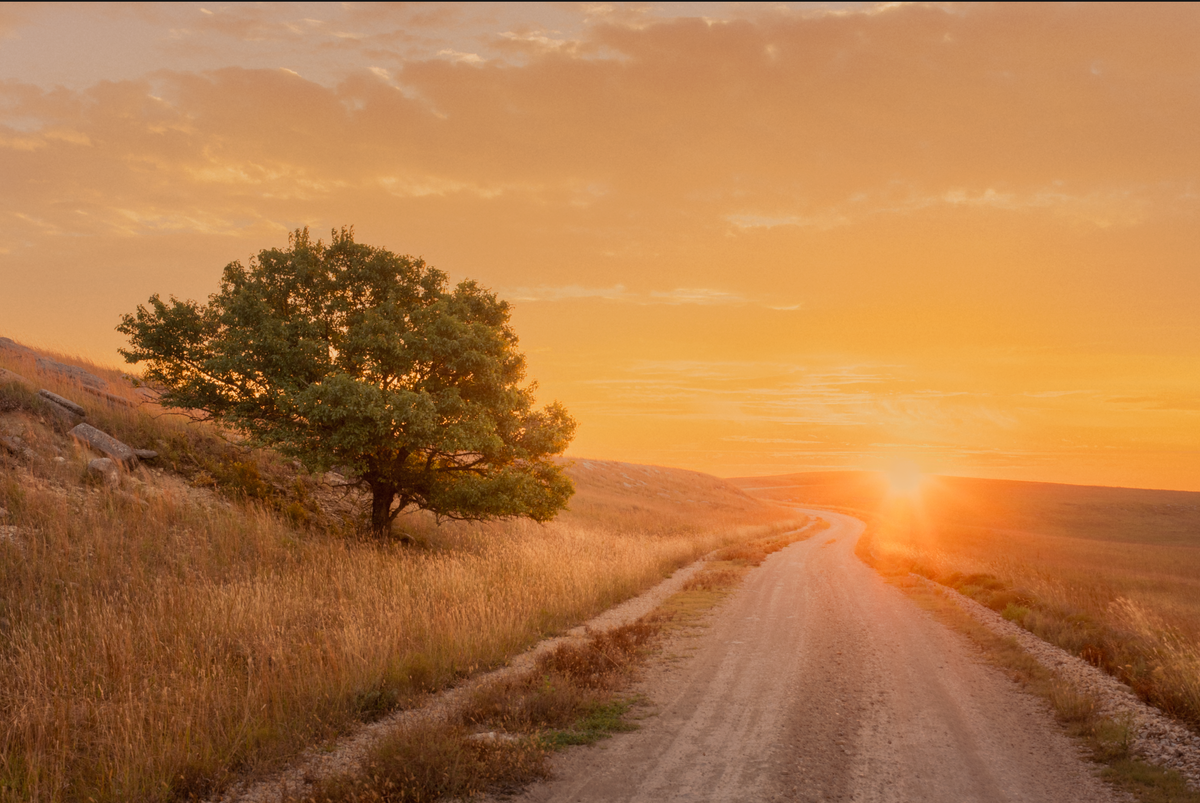 The Oak in October -  Flint Hills