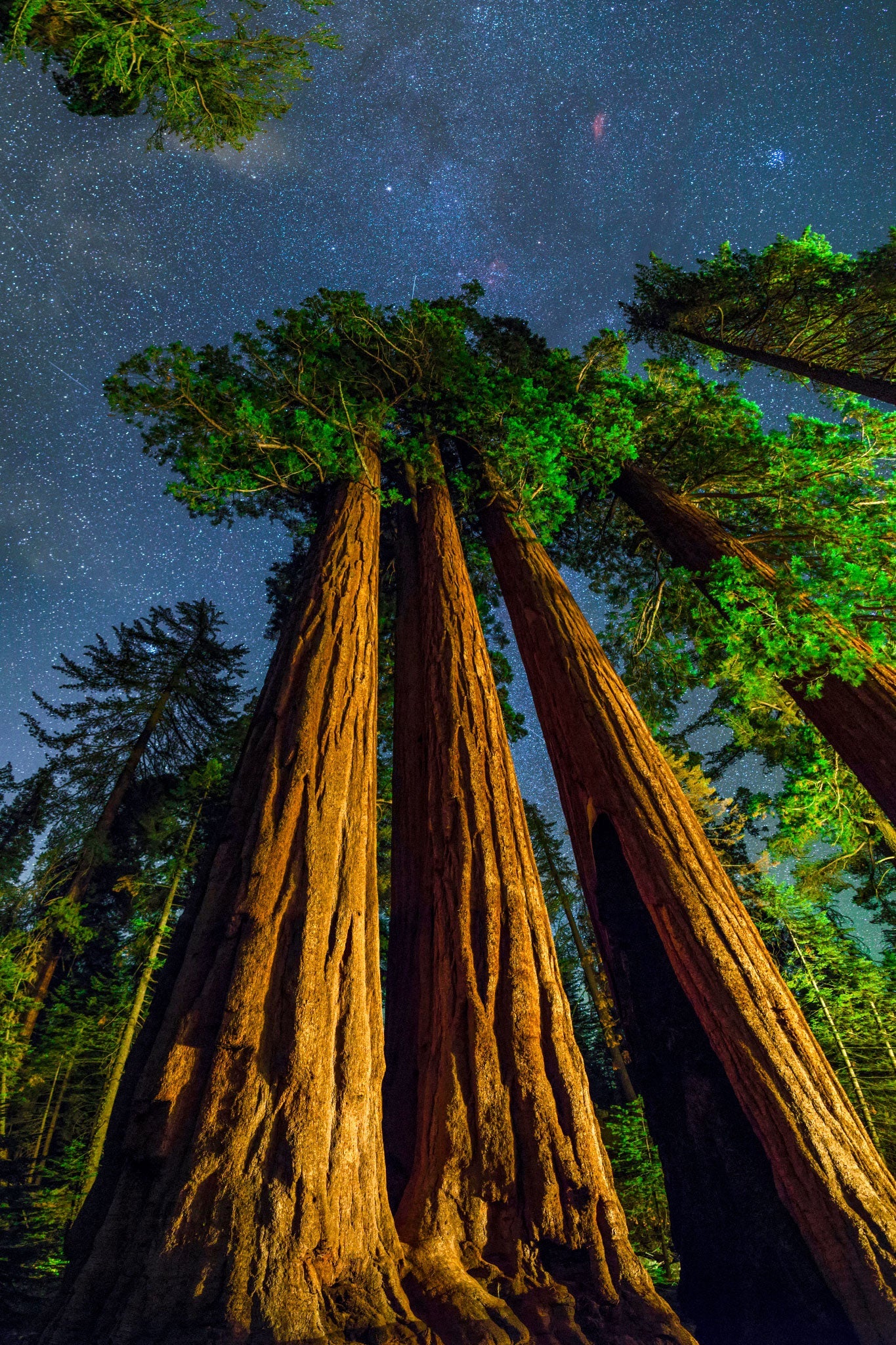 Walking Between Giants in context