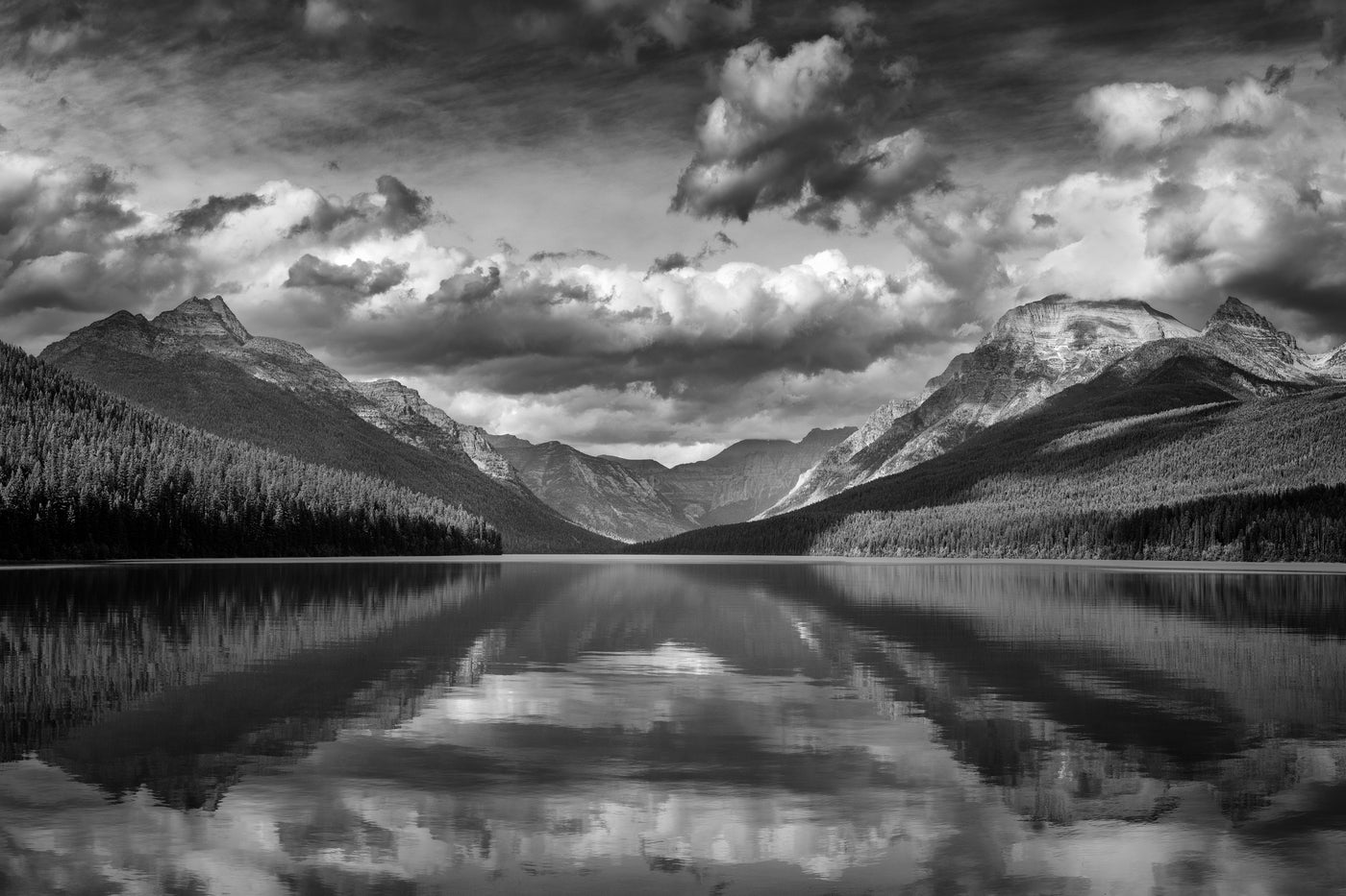 Be Still & Know in context