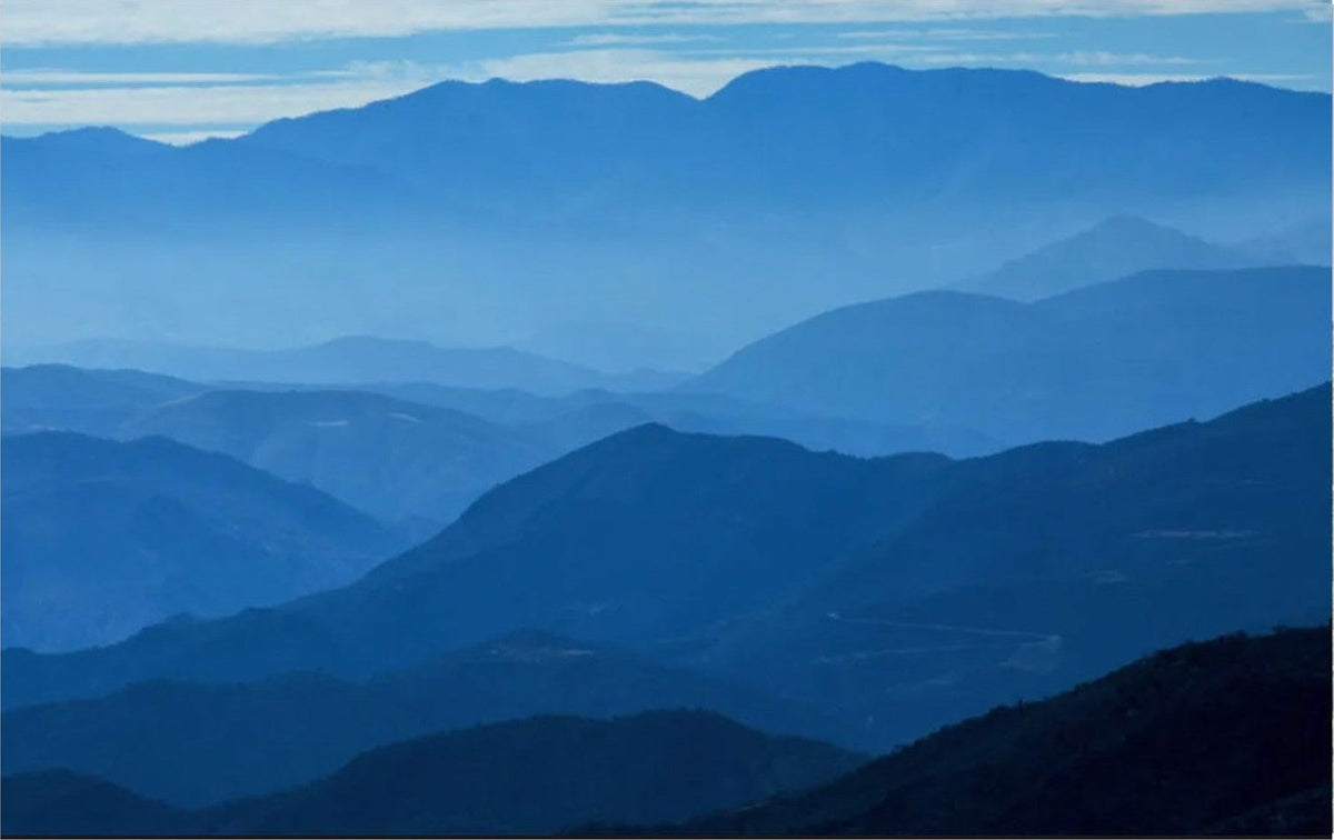 Blue Mountains