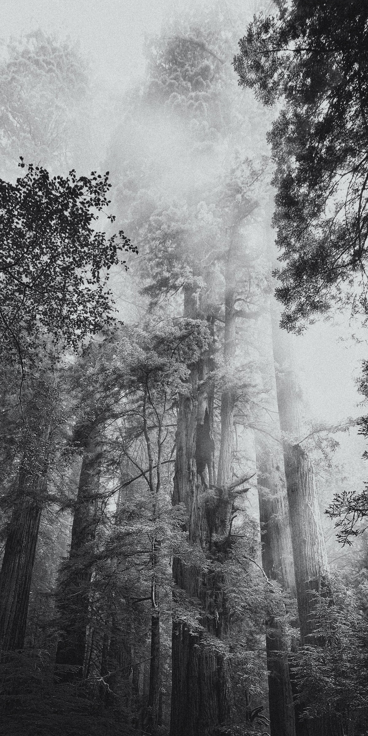 Among the Giants 02