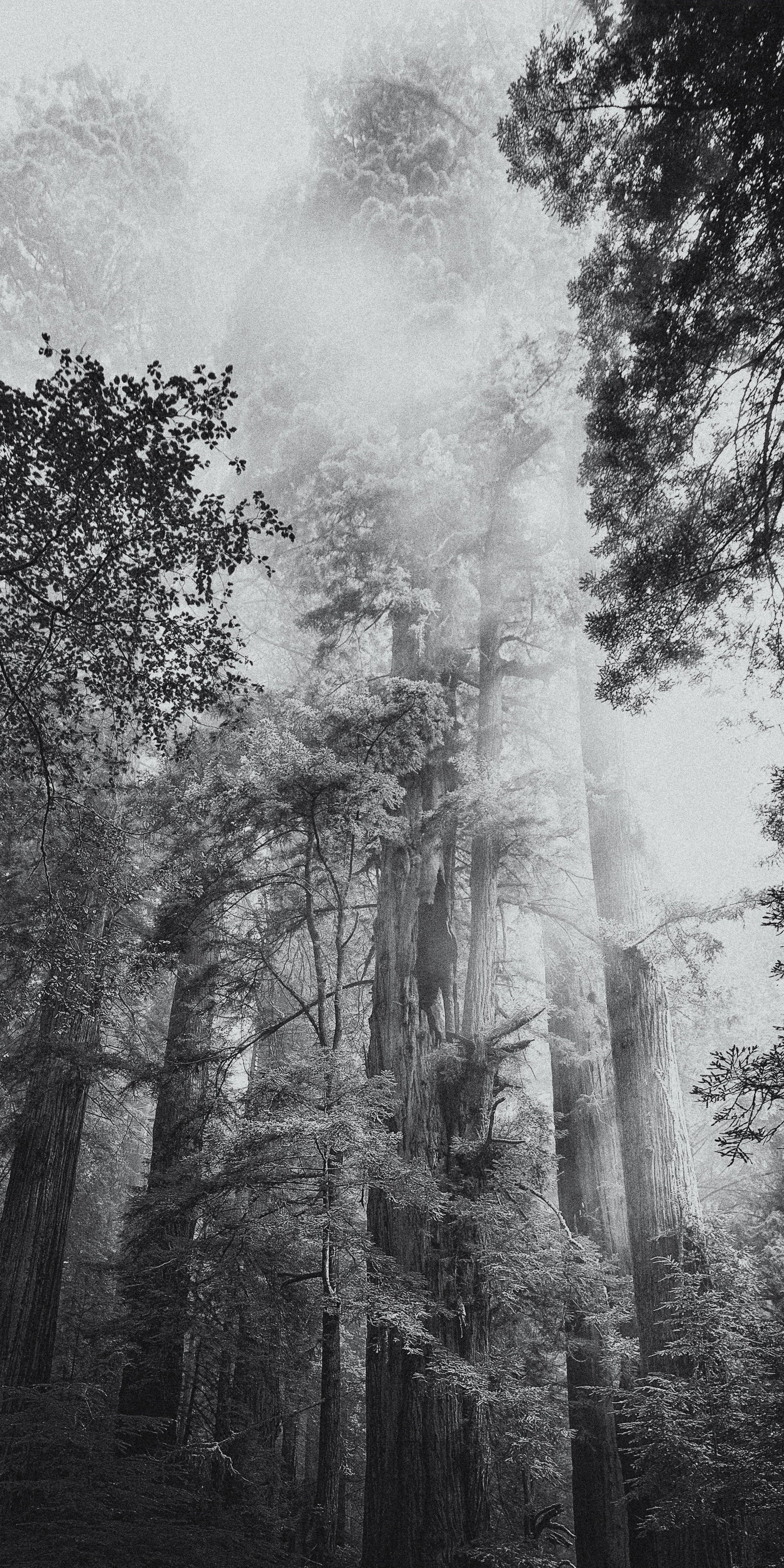 Among the Giants 02