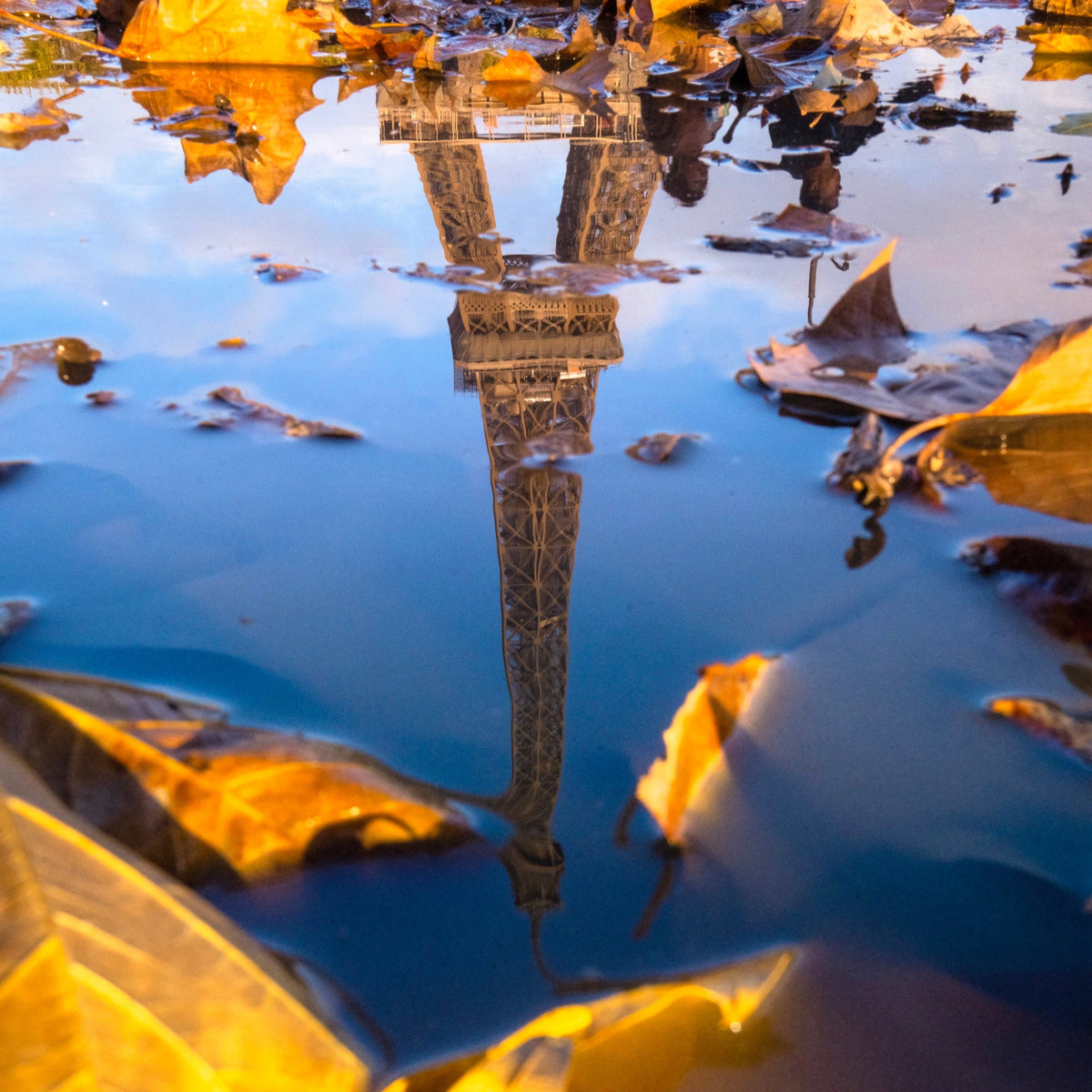 Fall in Paris, No. 058