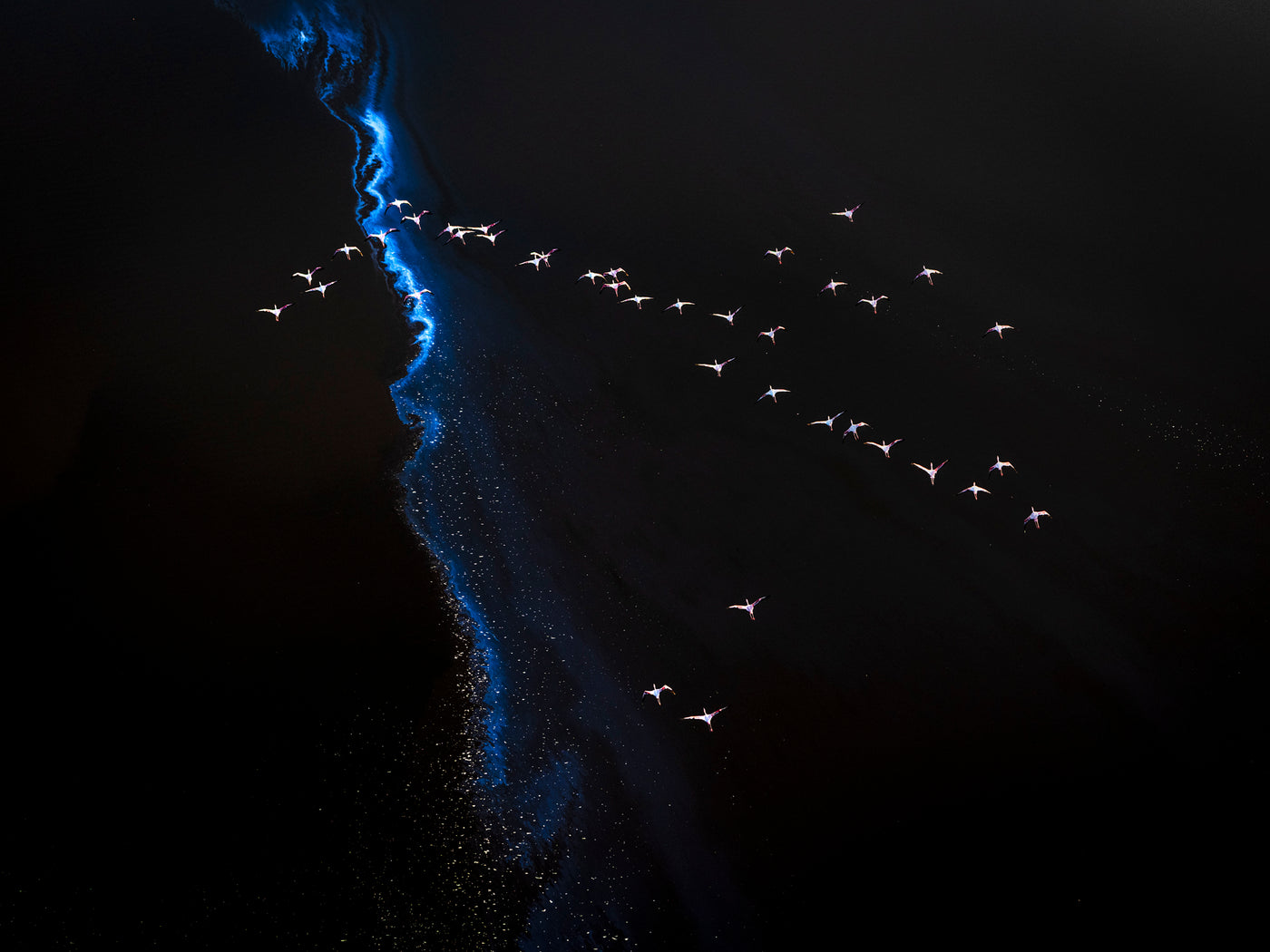 Flight, Kenya in context