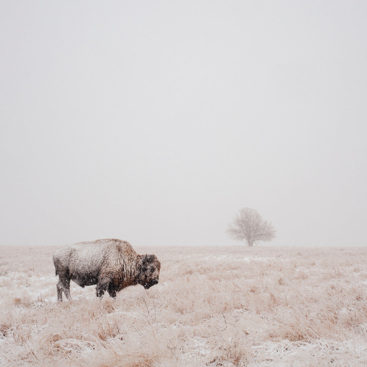 Flint Hills, KS, USA