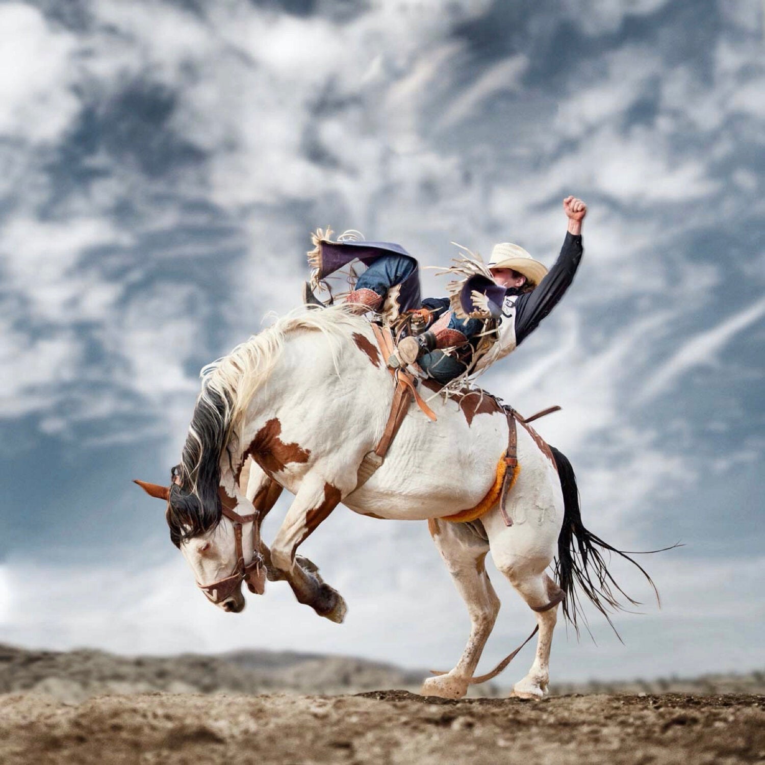 Cole