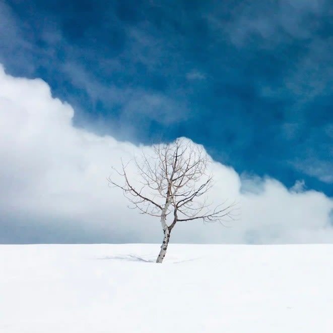 Winter Solitude, No. 025