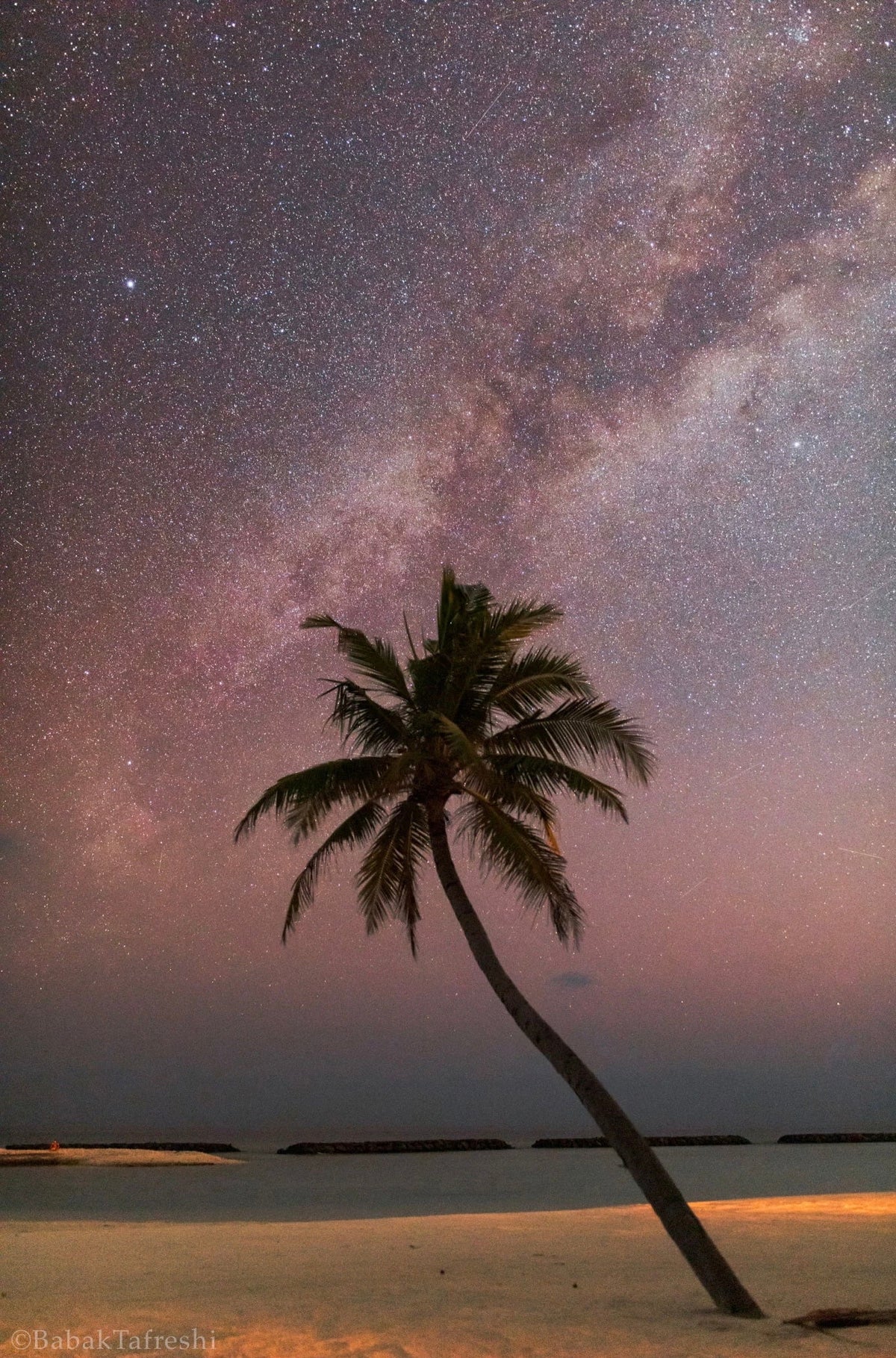 Palm Galaxy